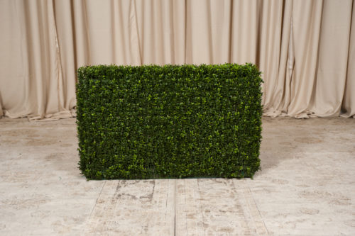 Boxwood Hedge